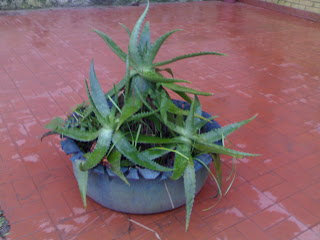 150820101120.jpg
