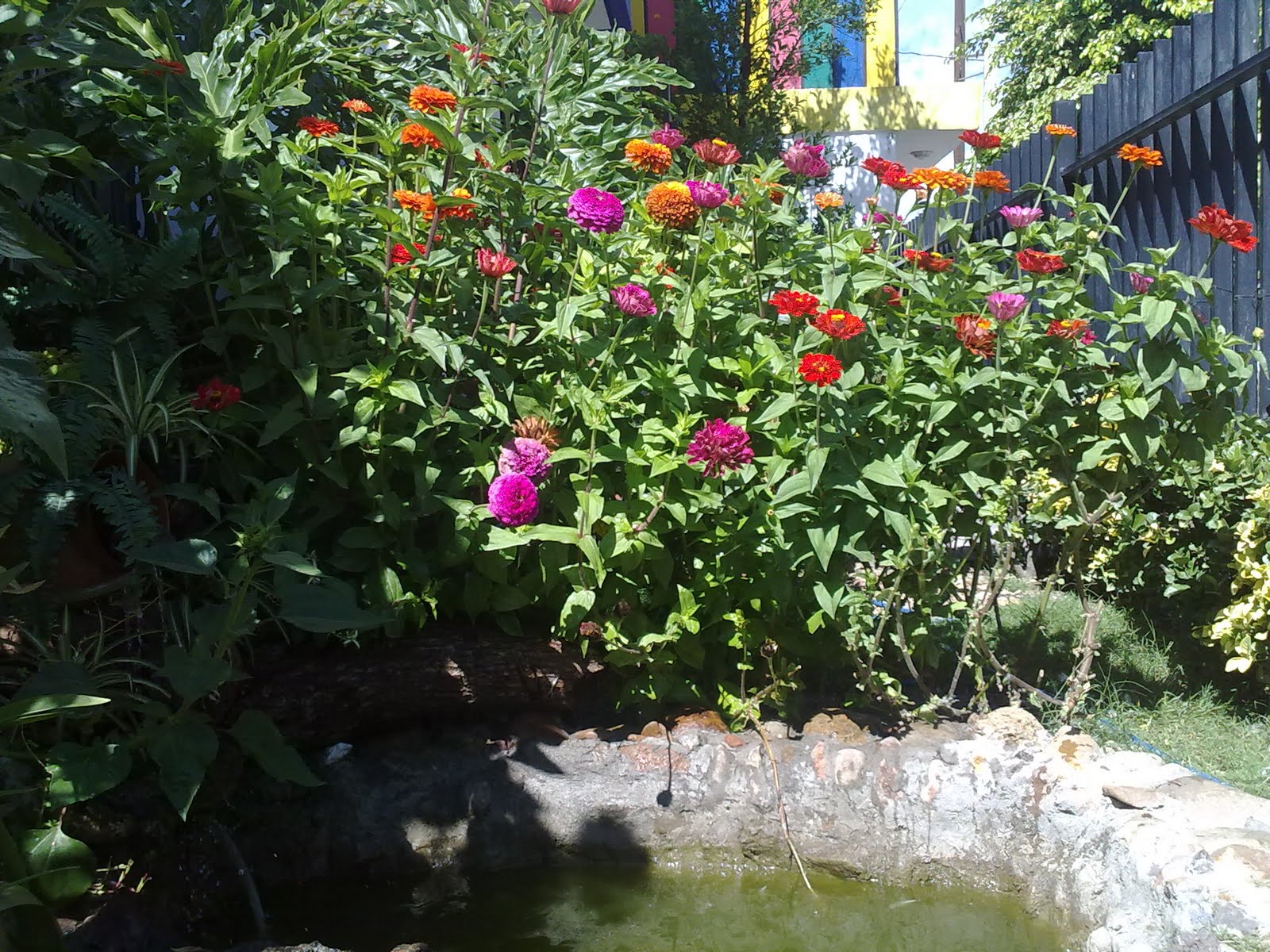 150820102700.jpg