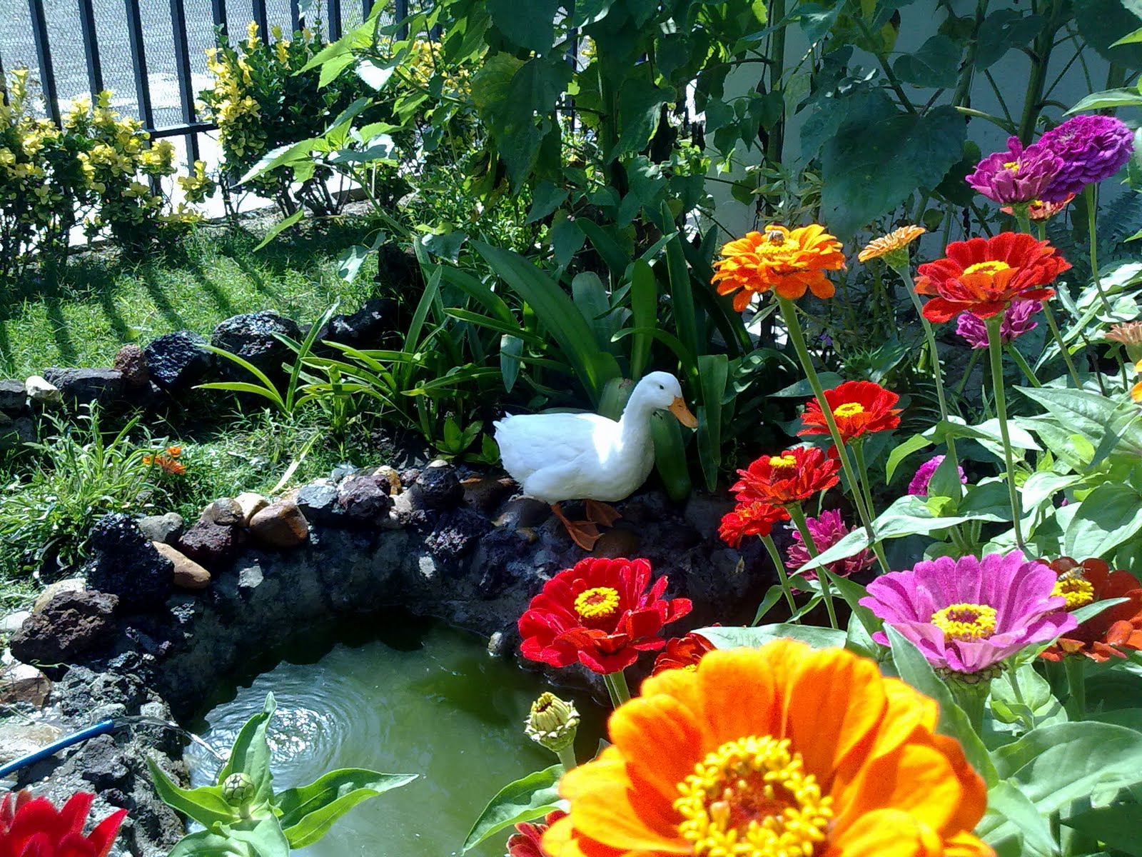 150820102708.jpg