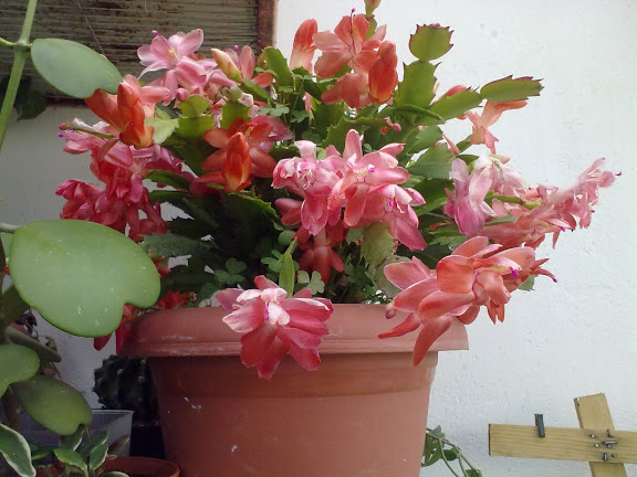 150820113997.jpg