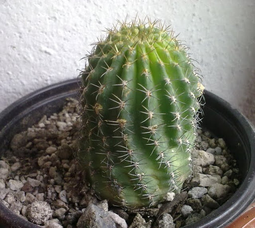 150820114012.jpg