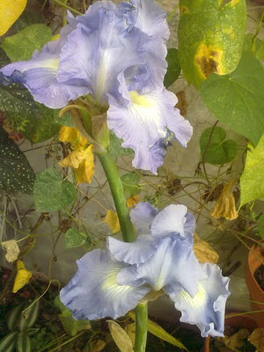 150920114282.jpg