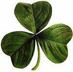 150px-Irish_clover.jpg
