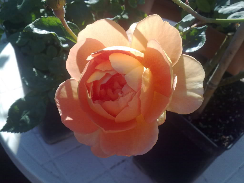 151120112456.jpg