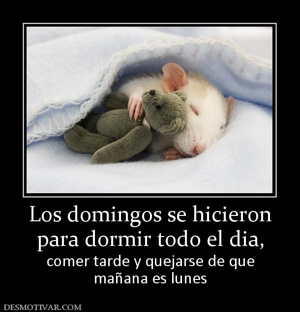 153808_los-domingos-se-hicieron-para-dormir-todo-el-dia.jpg