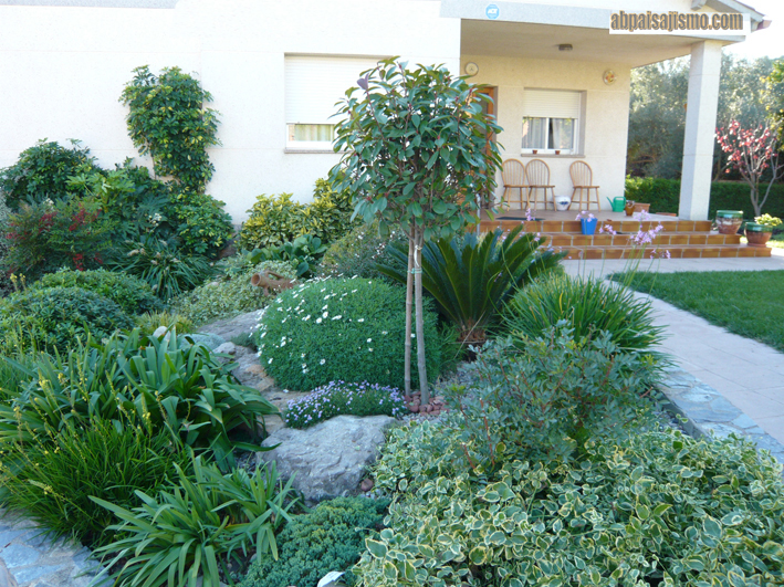 15431d1288306803-remodelacion-de-jardin-bajo-pinos-p1060016.jpg