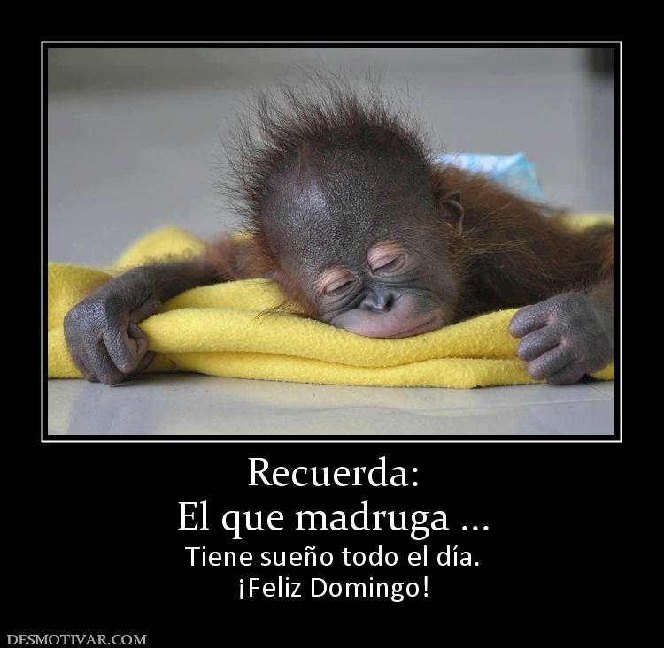 155077_recuerda-el-que-madruga-.jpg