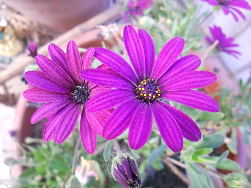 15552377190_298277fbf1.jpg