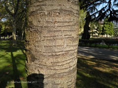 15772560900_f316510627_m.jpg