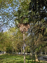 15773785079_5f4d65391e_m.jpg