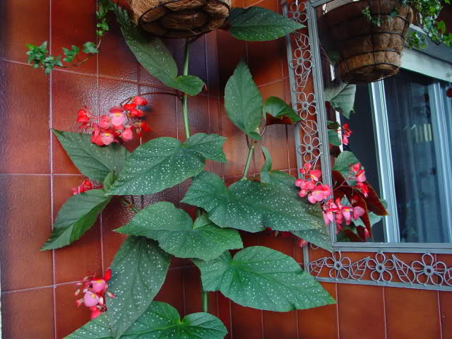 157f05u.jpg