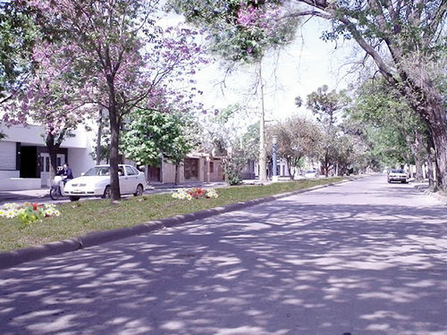 1588832.jpg