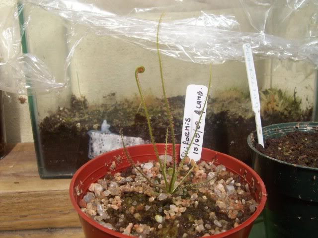 15desep2009048.jpg
