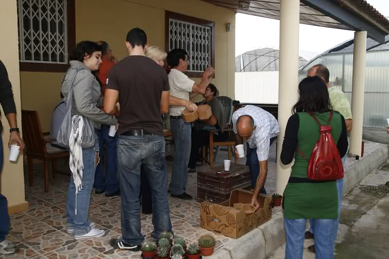 15e779c.jpg