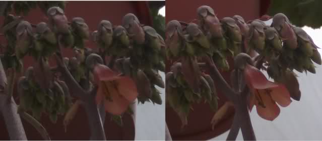 15q6pvl.jpg