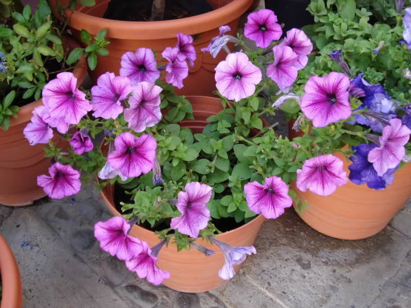 15xr7nl.jpg