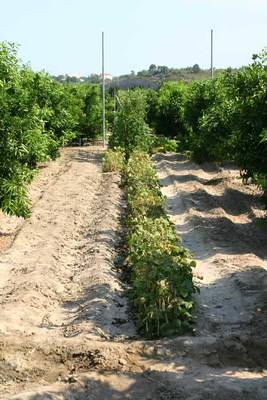 16-07-06_061.jpg