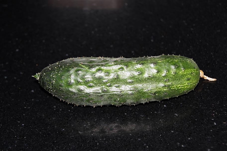 16%252520-%252520Pepino.JPG
