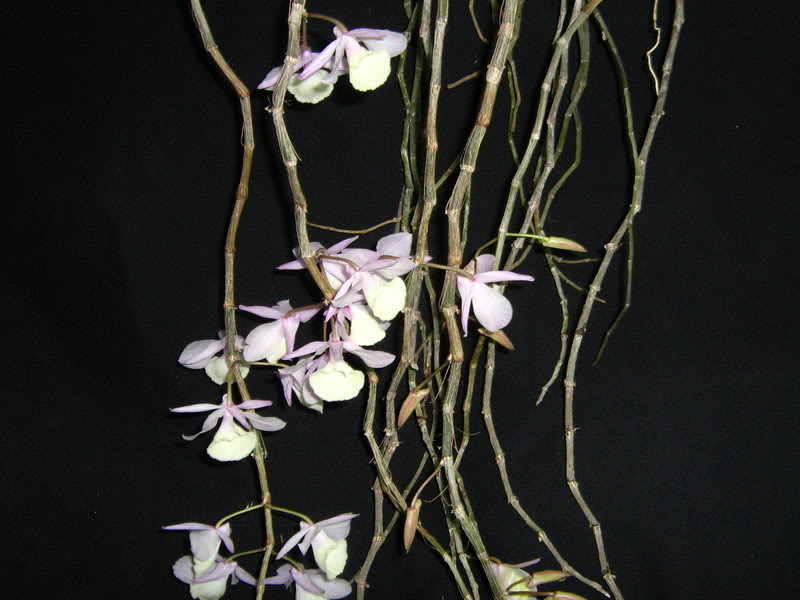 16-febrero-09001.jpg