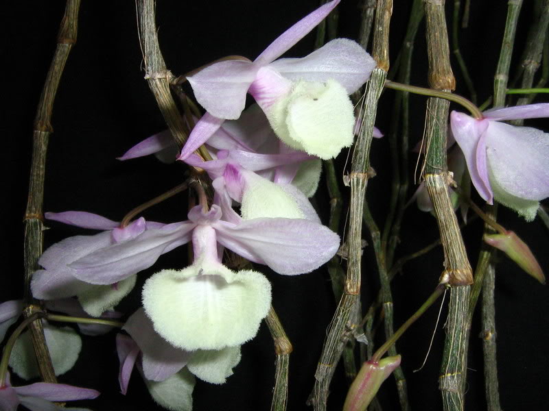 16-febrero-09002.jpg