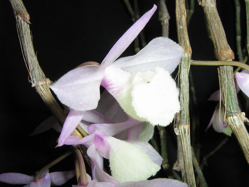 16-febrero-09006.jpg