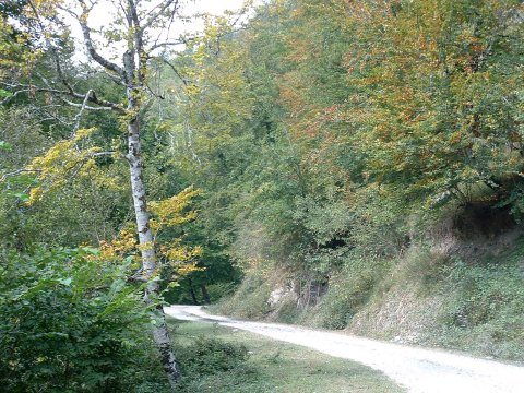 16-foto4.jpg