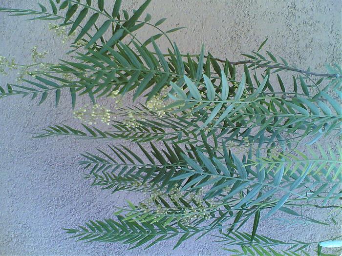 16062007(002).jpg