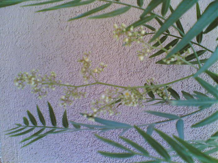 16062007(003).jpg