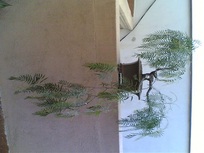 16062007.jpg