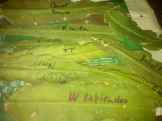 160920111903.jpg