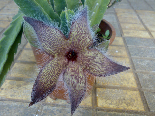 160920118653.jpg