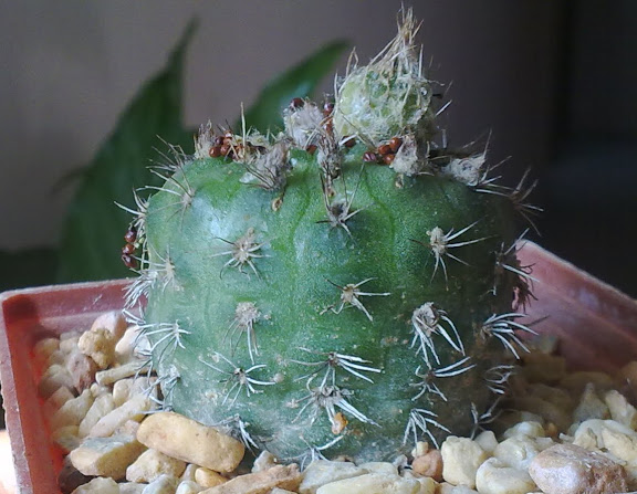 160920123059.jpg