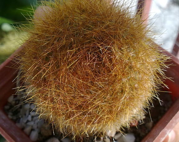 160920123060.jpg