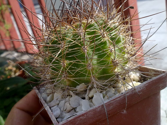 160920123063.jpg
