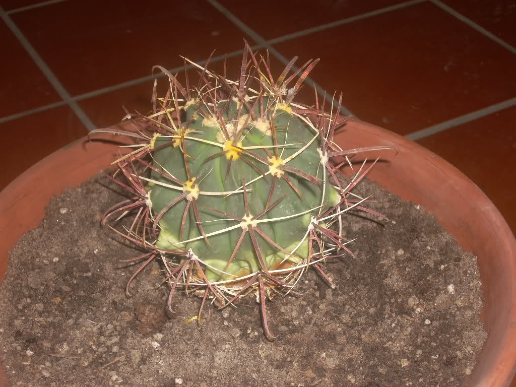 160eqo9.jpg