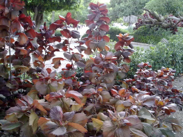 16102010682.jpg