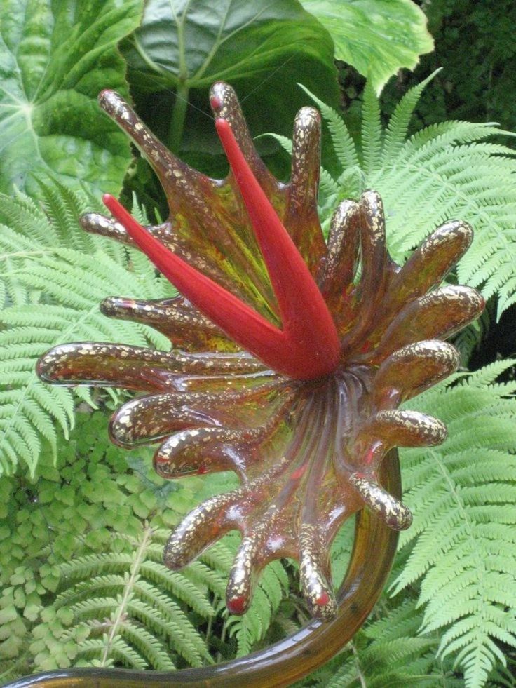 163287dd8630fd50dd8527d85ef6e6ef--tropical-gardens-tropical-plants.jpg