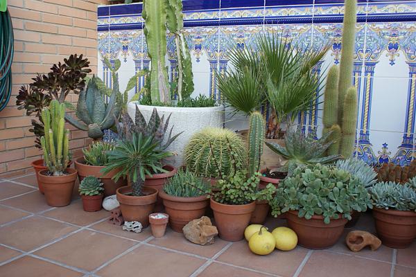 16436d1289753982t-la-terraza-de-marin_gatova-dsc01244.jpg