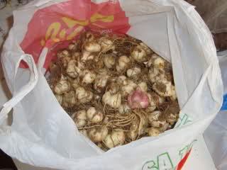 166kcaa.jpg