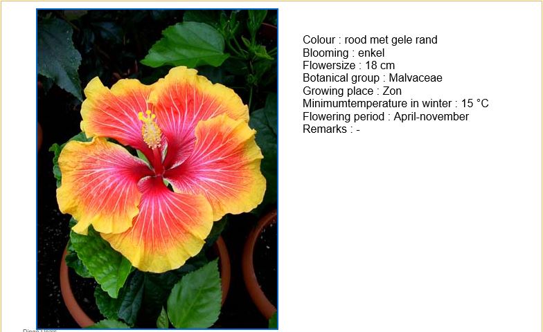 169l092.jpg