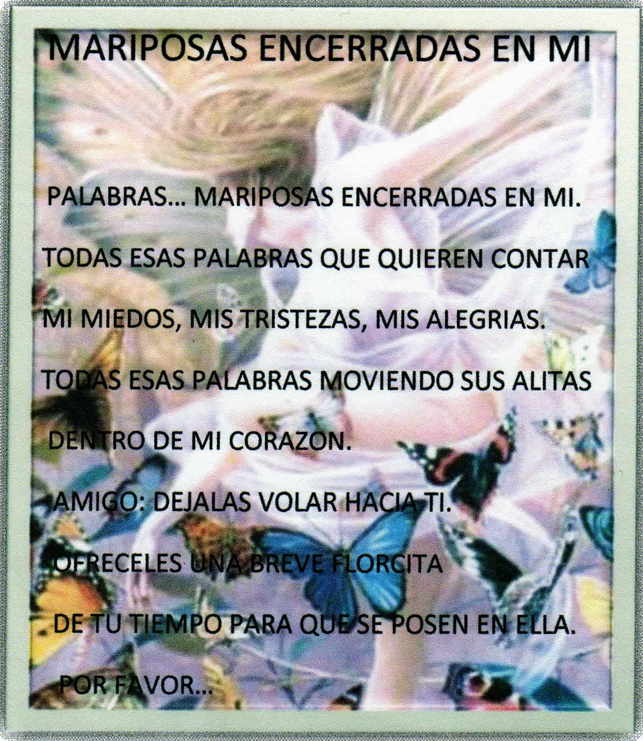 16c5anc.jpg