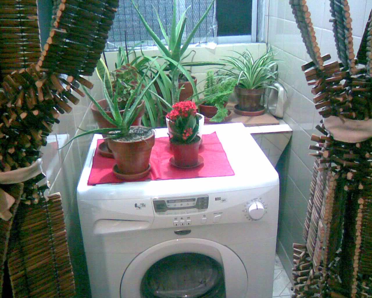 16gmpnp.jpg