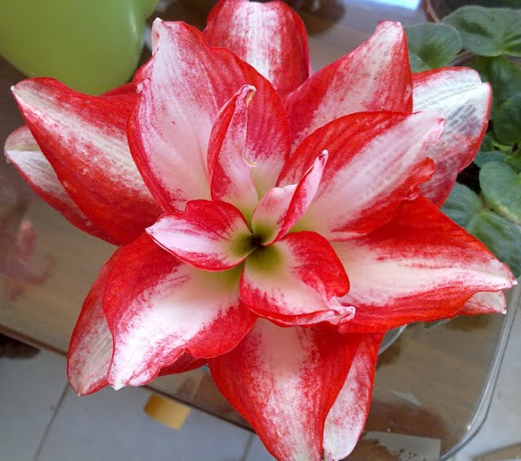 17032012875.jpg