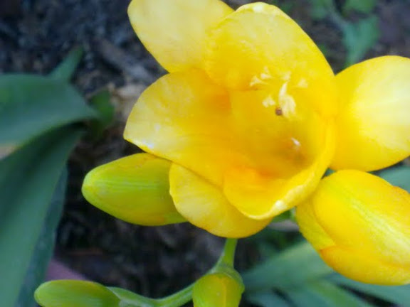 17032012877.jpg