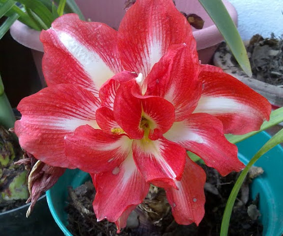 17032012882.jpg
