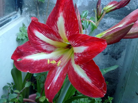 17032012896.jpg