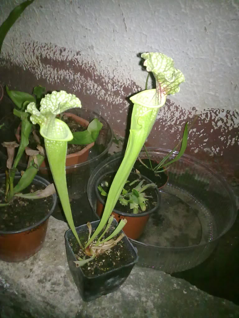 17042010057.jpg