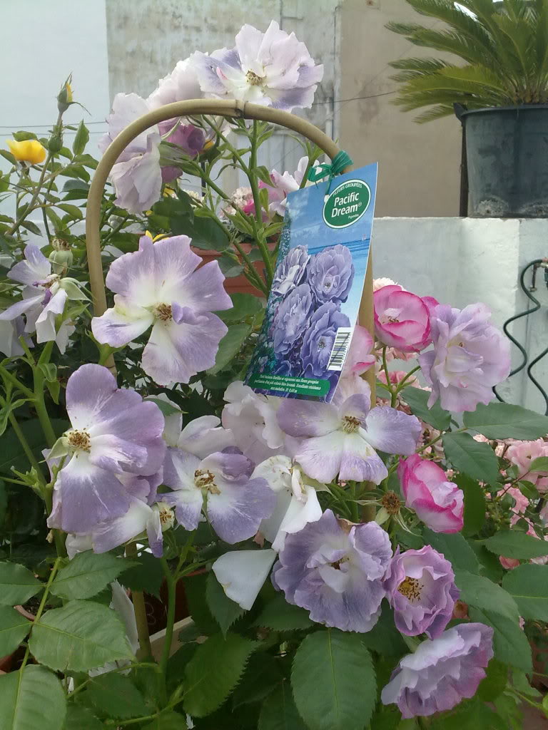 170520111882.jpg