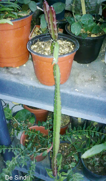 170520131301.jpg