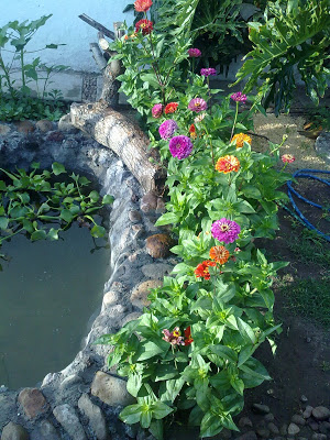 17062010590.jpg